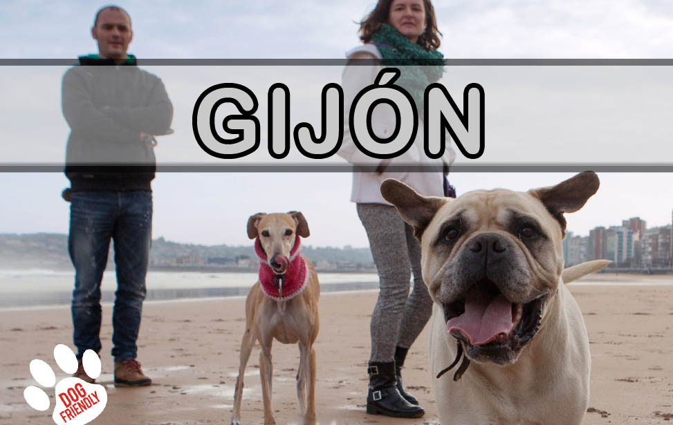 gijon con perro