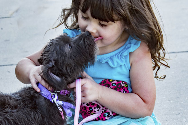 niña con perro