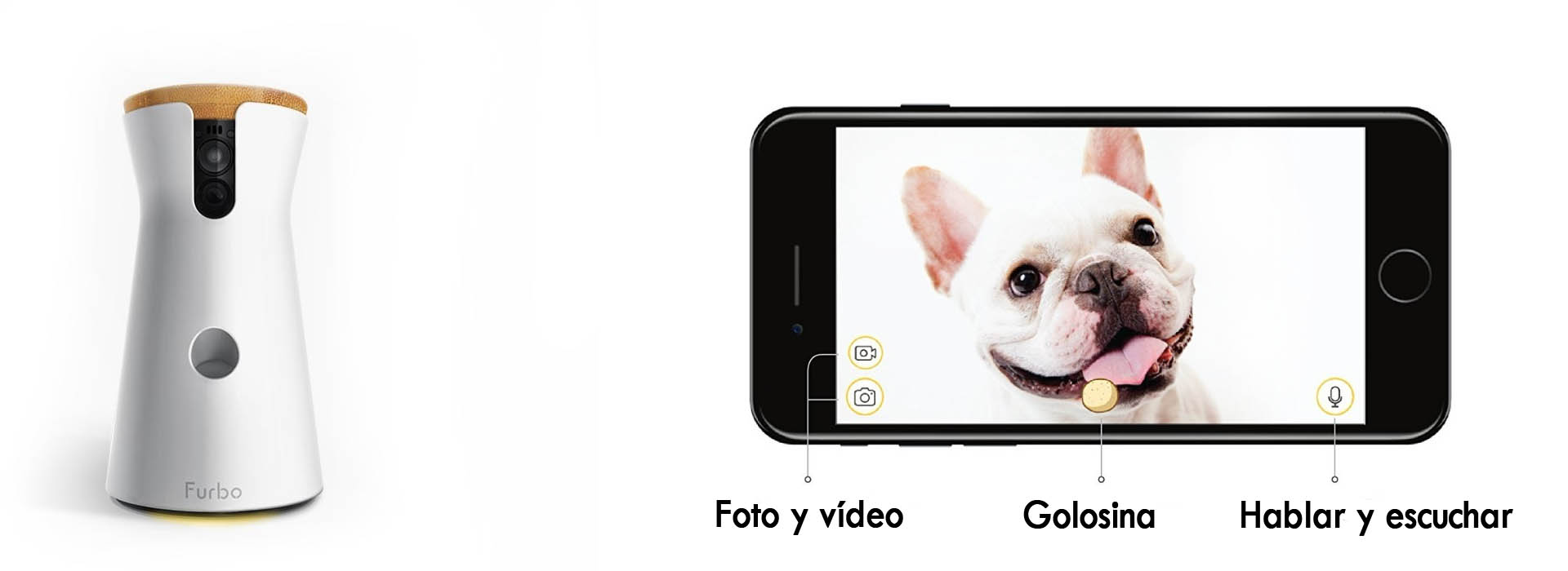 camara para perro