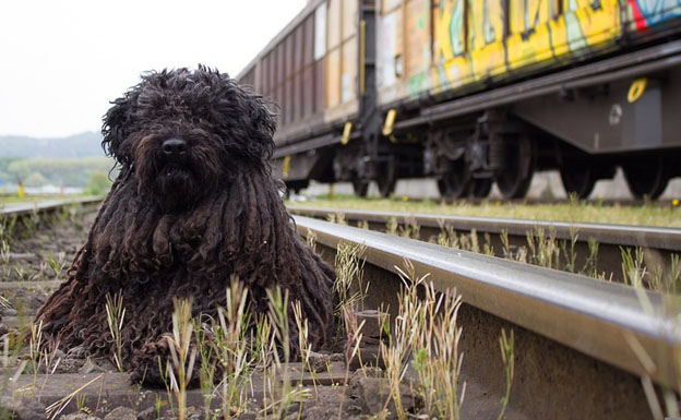 Viajar en tren