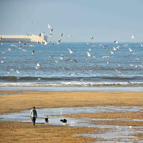 Gijón