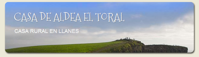Toral