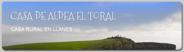 Toral