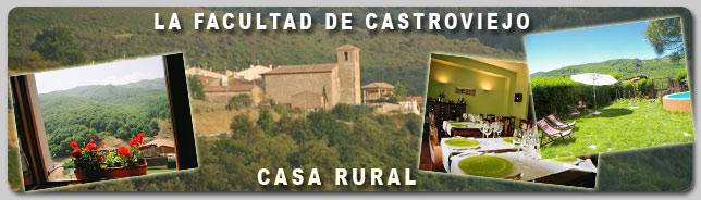 La Facultad de Castroviejo