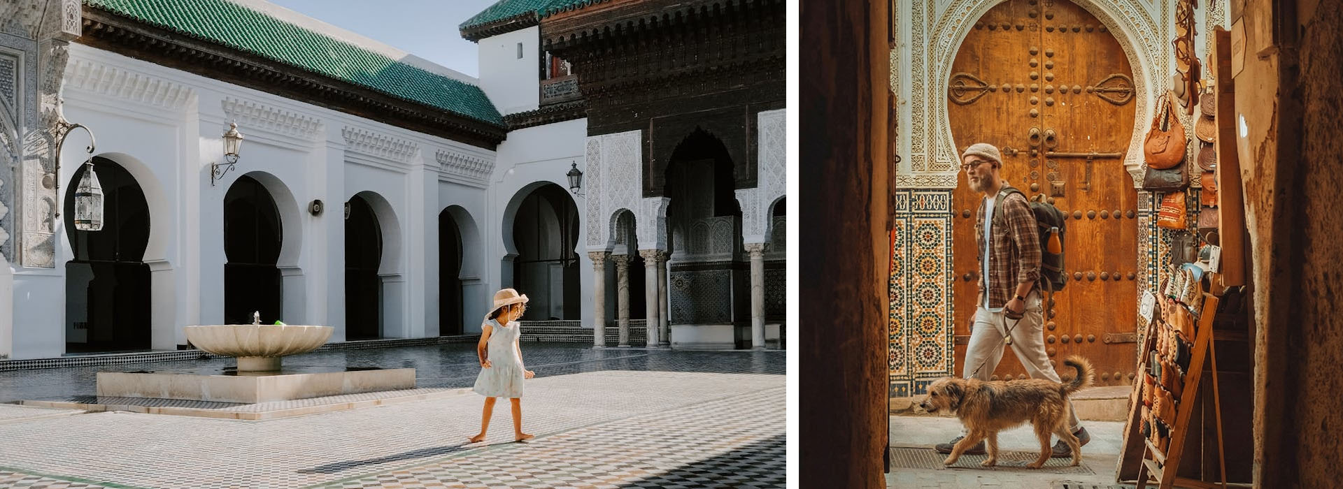 con tu perro a marruecos