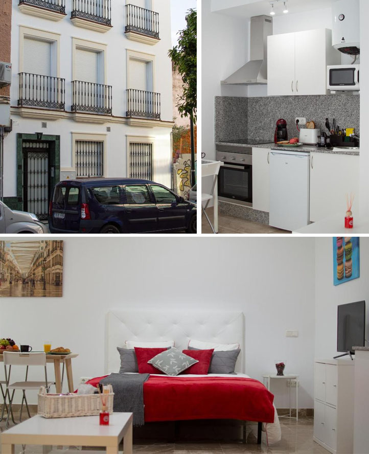 apartqmentos admite perros en Malaga