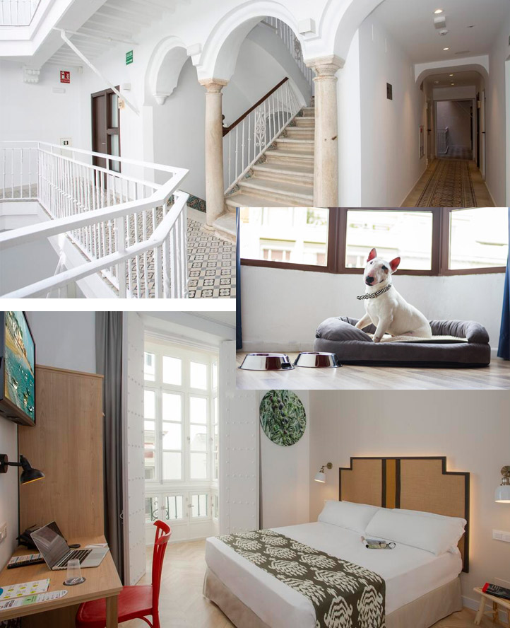 Hotel petfriendly en Cádiz