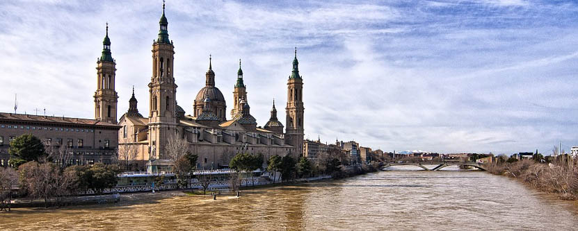 Zaragoza con perro