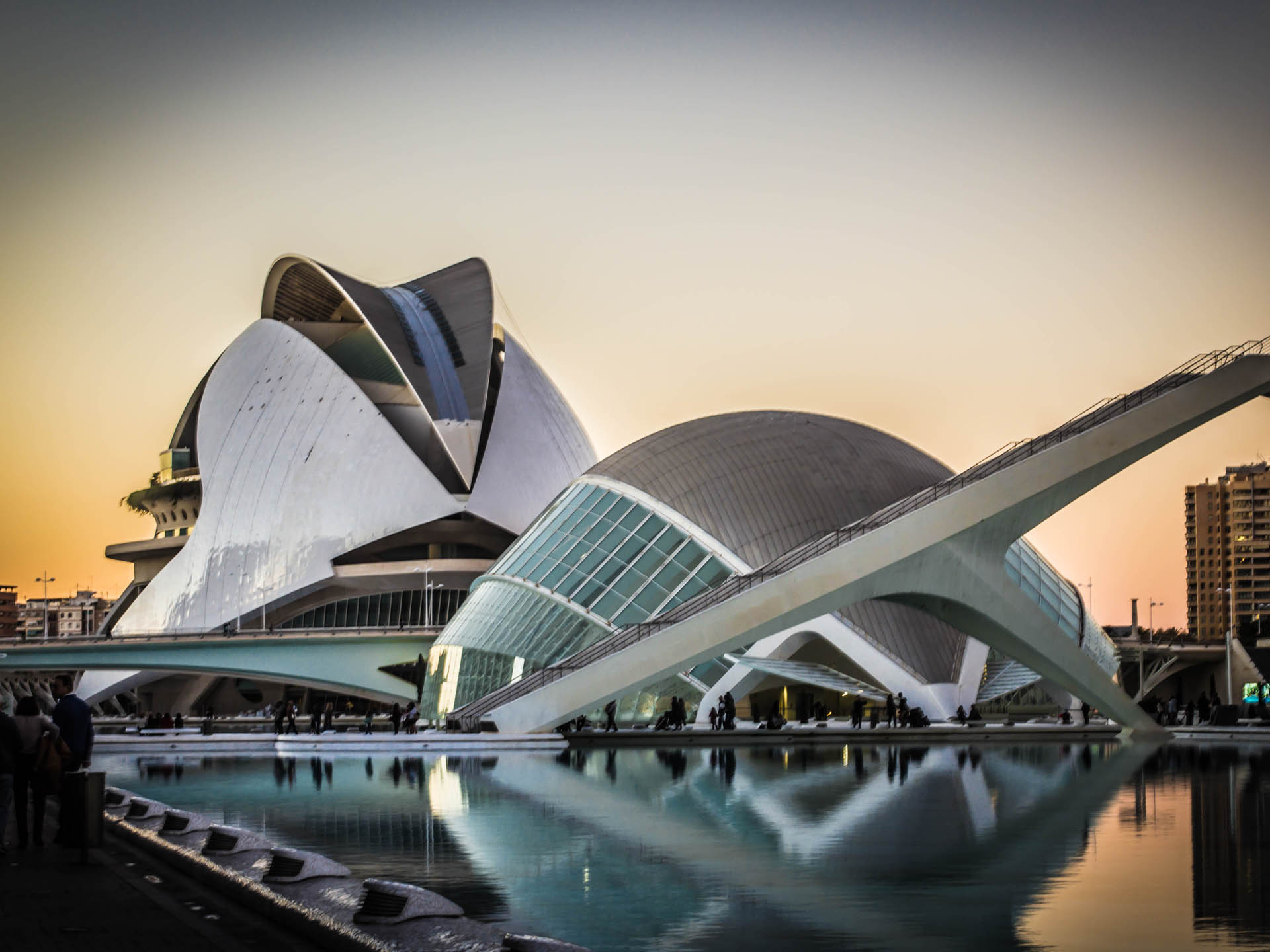 Valencia con tu perro