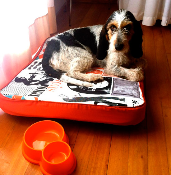Cojin para perro