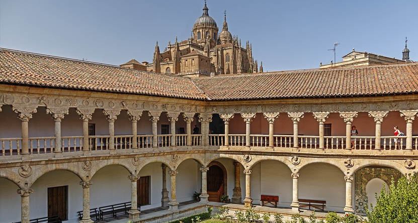 Salamanca con perro