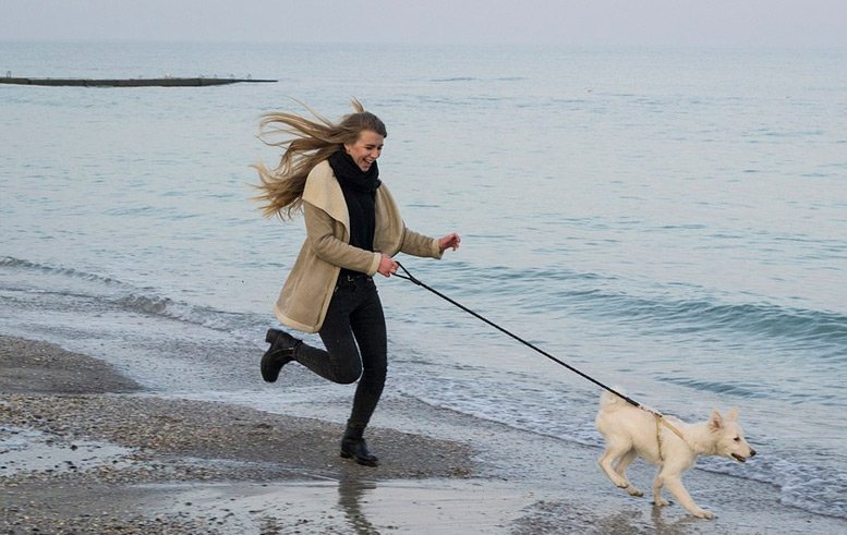 Campanilla Representar sagrado Viajar con perros | Playas para ir con perro en toda España